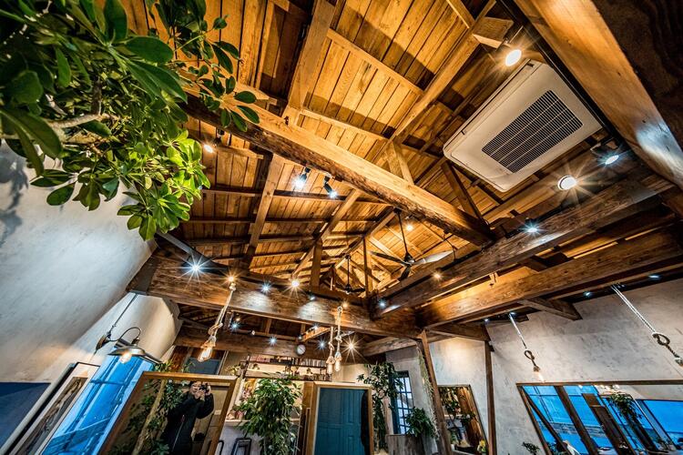 ウッディ×緑であふれた癒しの店内