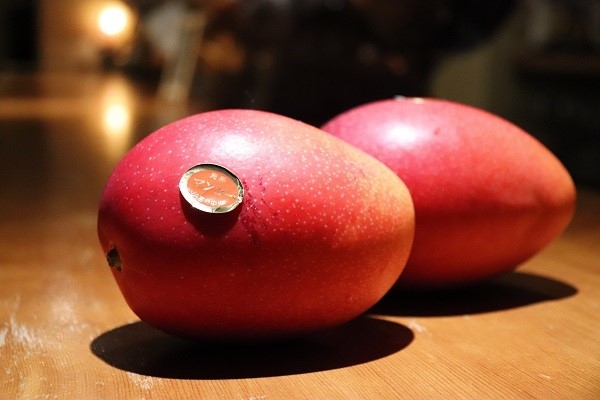 季節に合わせて様々なフルーツを扱います