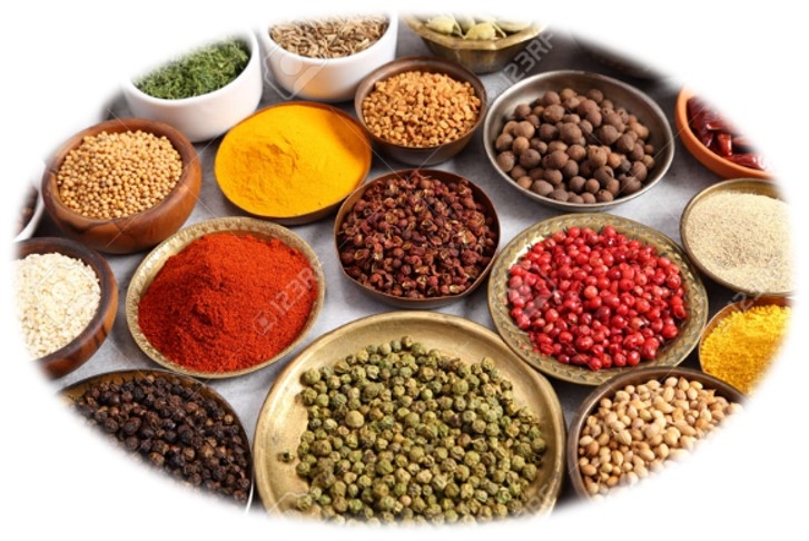 甘利香辛食品株式会社 商品開発室 香辛料メーカーの開発業務 の求人情報 求人 飲食店 Com