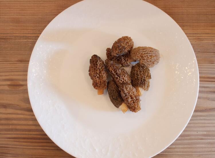 一緒に働けるのを楽しみにしています！