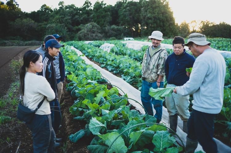 年間150種類以上の野菜を育てます。
