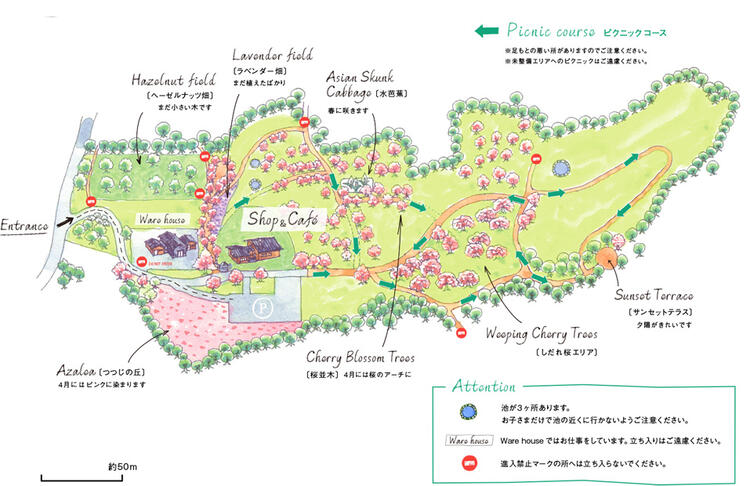 大自然を感じられる、緑豊かな立地◎
