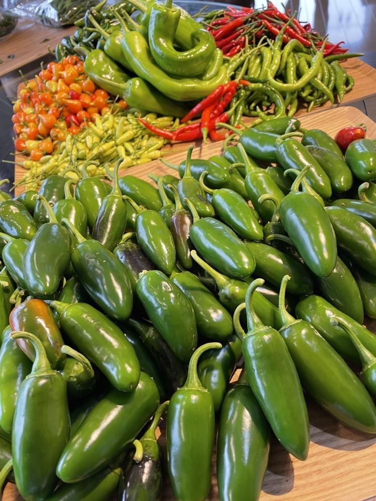 自社栽培の野菜を使ったメニューも！