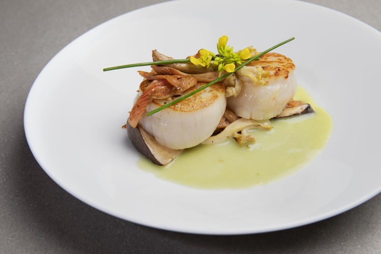 Graciaの詳細画像6