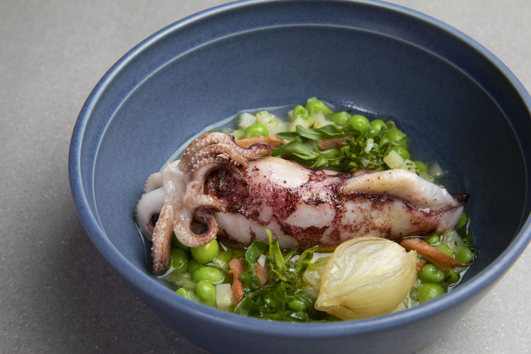 Graciaの詳細画像7