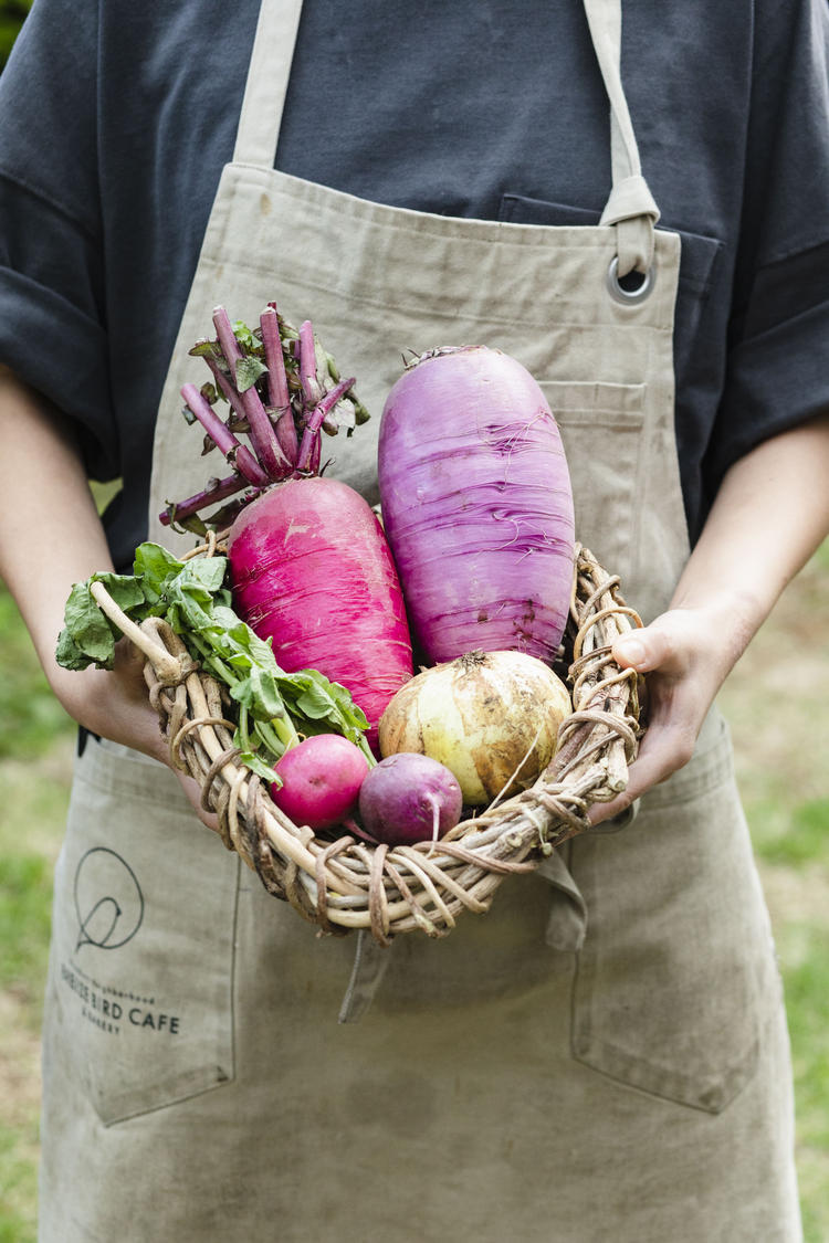 鎌倉や三浦の新鮮なやさいたち