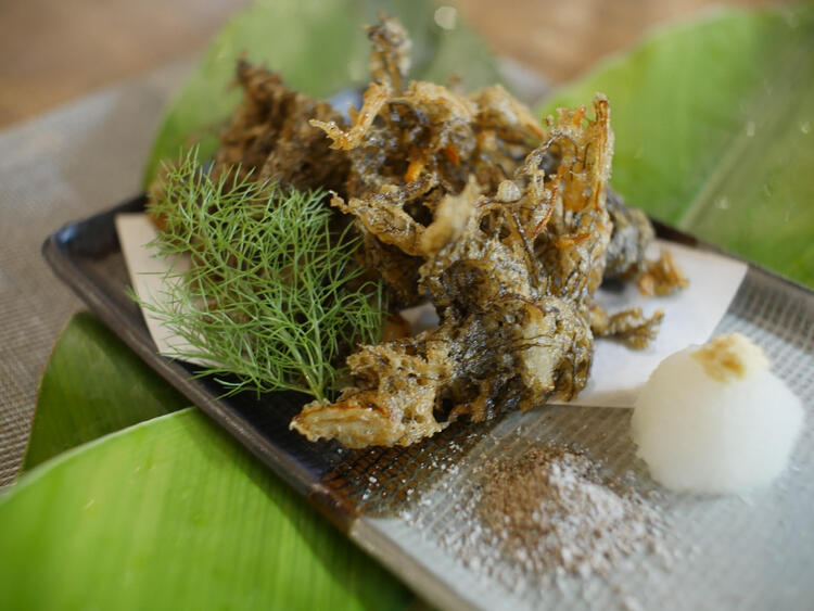 未経験歓迎！スキルを磨ける環境です◎