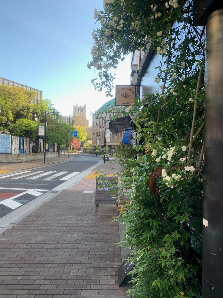 お店の前の風景。周辺の環境はGOOD