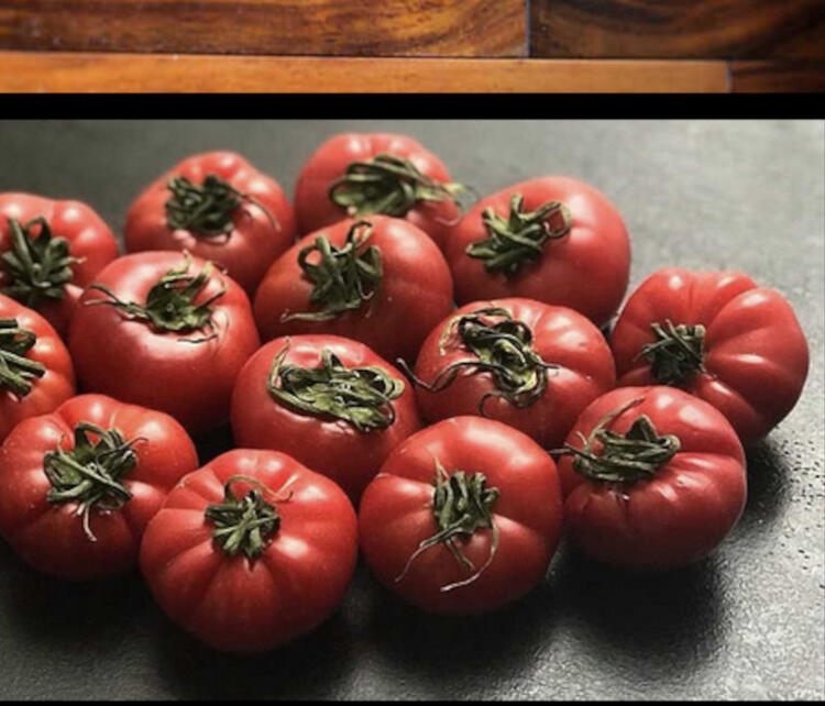 旬の国産食材をふんだんに使用