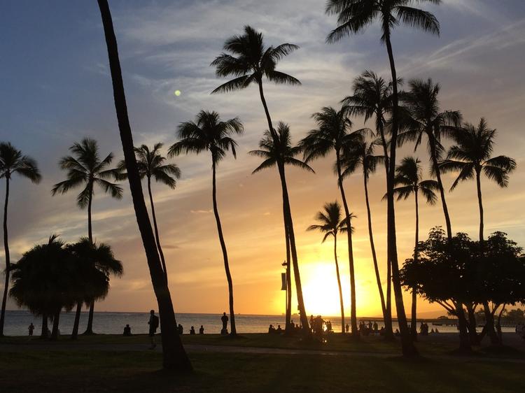 Hawaiian Deli Marketの詳細画像7