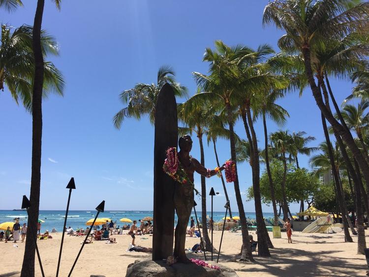 POKEDO MARKETの詳細画像3