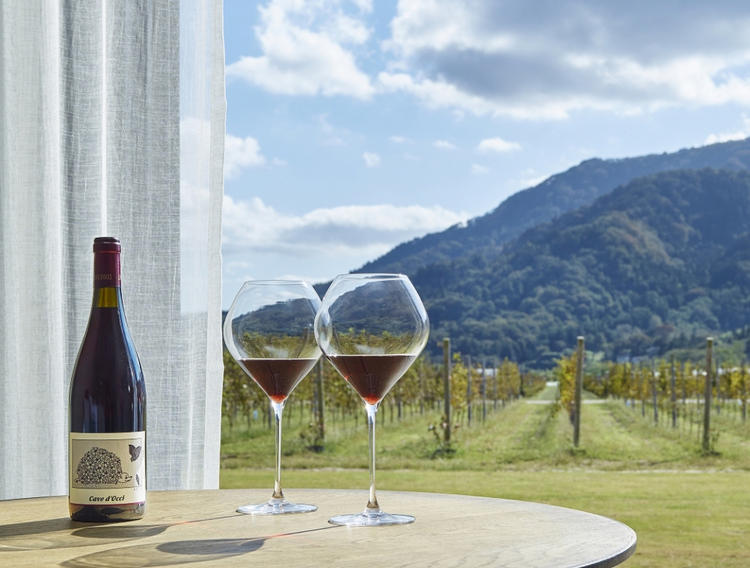 カーブドッチのワインが売りです！！！