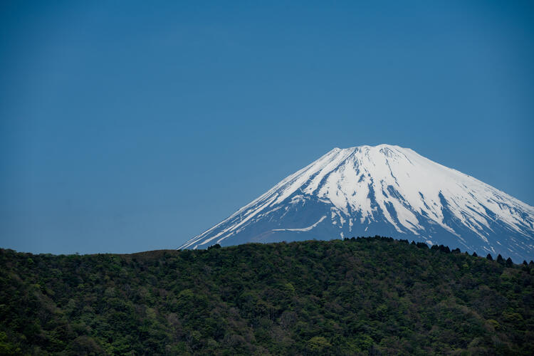 仙石原古今の詳細画像2