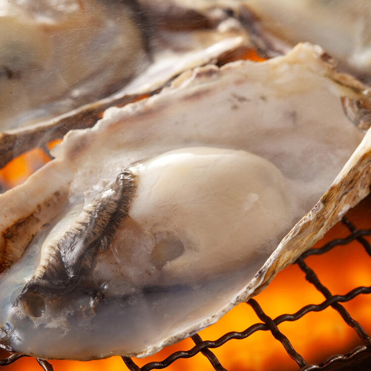 あなたの経験を活かすポジション多数☆