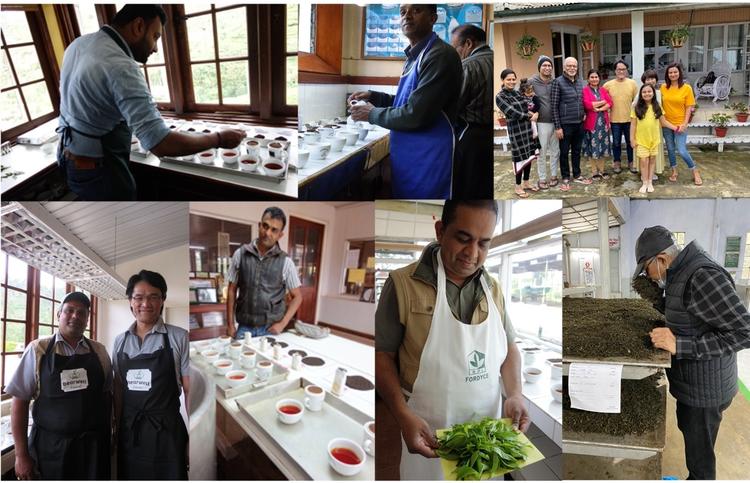 現地の茶園に足を運んで旬の紅茶を直接輸入