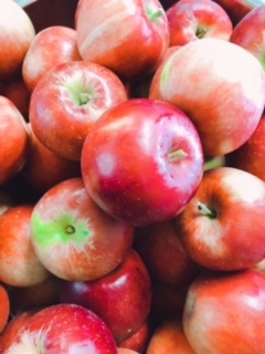 アップルパイは紅玉を使用。