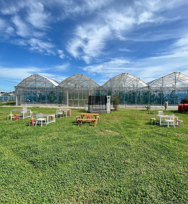 自然豊かな空間を堪能されるお客さま多数♪