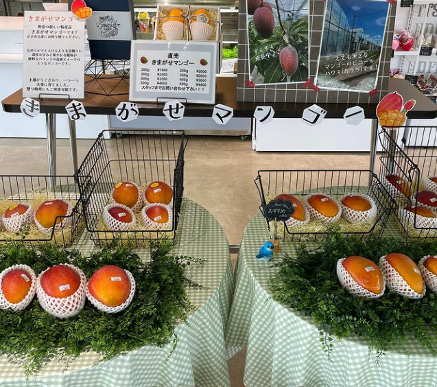 丹精込めて育てたフルーツを販売しています