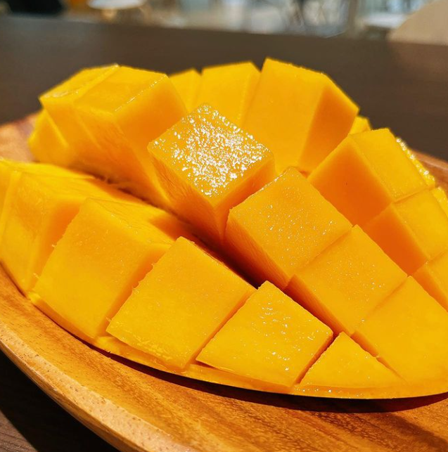 千葉県で初のマンゴーの栽培・販売を実施◎