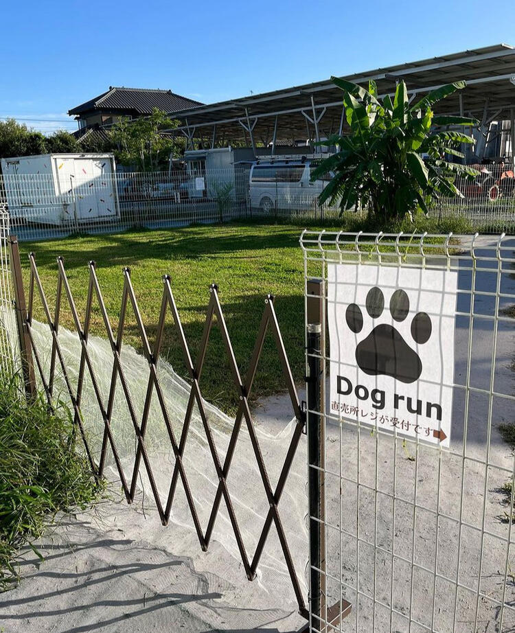ドッグランも併設！