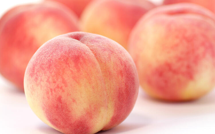 ご応募をお待ちしております◎