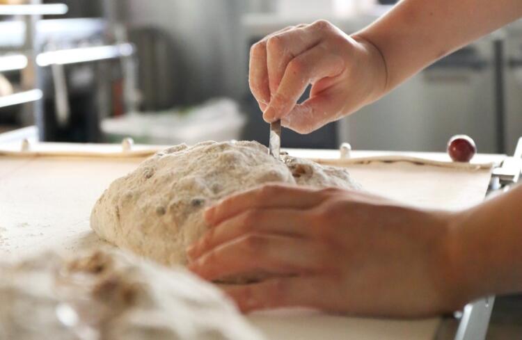 パスタやパンも毎日手づくりしています◎