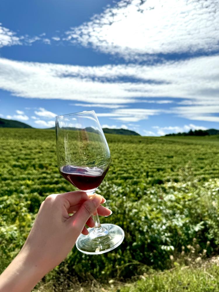 北海道余市のワインイベント