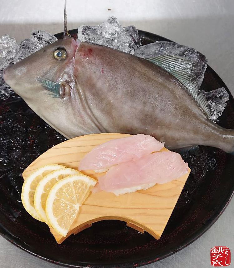 市場から直接届く魚。珍しい魚も扱えます