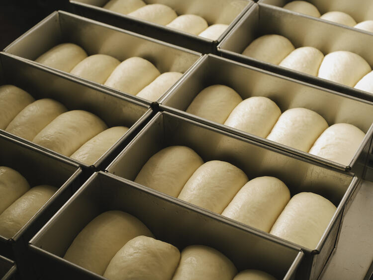 スキルアップへの熱意がある方を歓迎