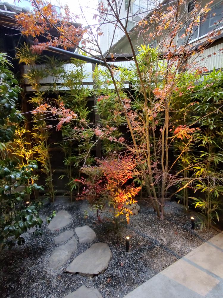 客席から庭の眺め