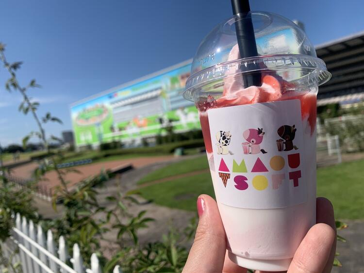 競馬が好きなら楽しい♪知らなくてもOK！