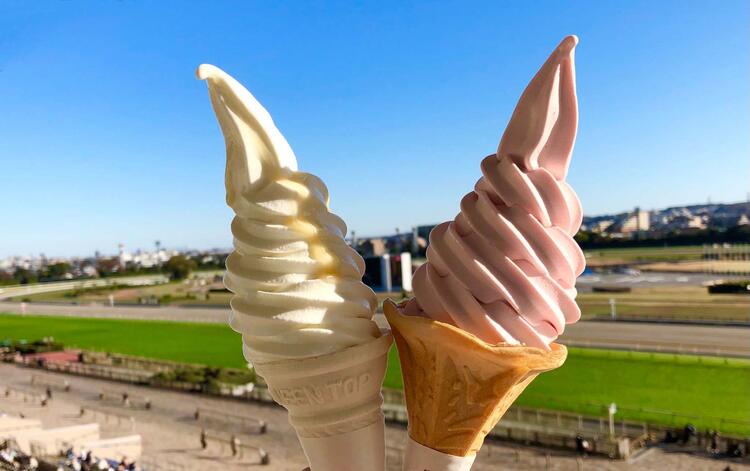 日本全国各地の競馬場にて出店！