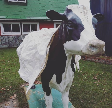 ご応募をお待ちしております♪