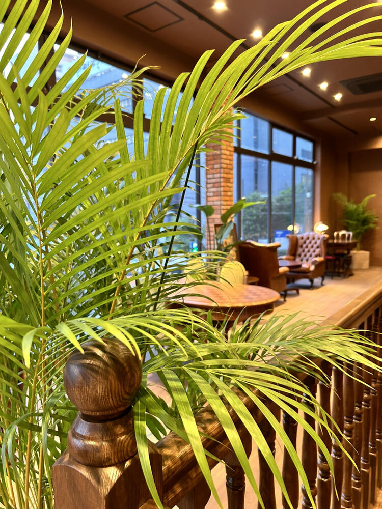 アンティーク家具と植物に囲まれた空間♪