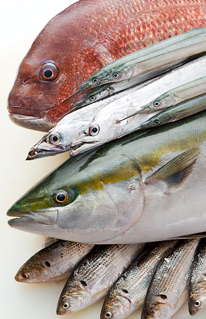 たくさんのご応募をお待ちしています！