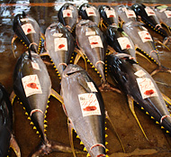 寿司の美味しさをお届けしましょう！