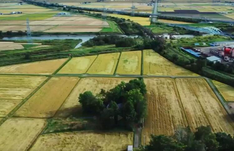 田園風景に囲まれたお店で働きませんか？
