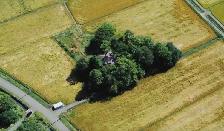 姉妹店では30～40代スタッフが活躍中