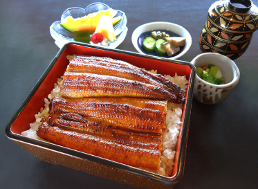 多エリアに多ブランドを展開中