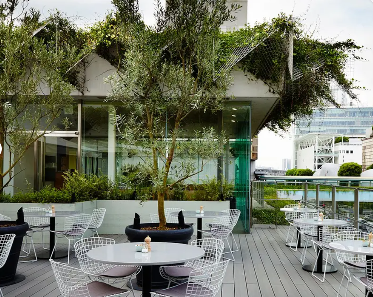 飲食経験者大歓迎