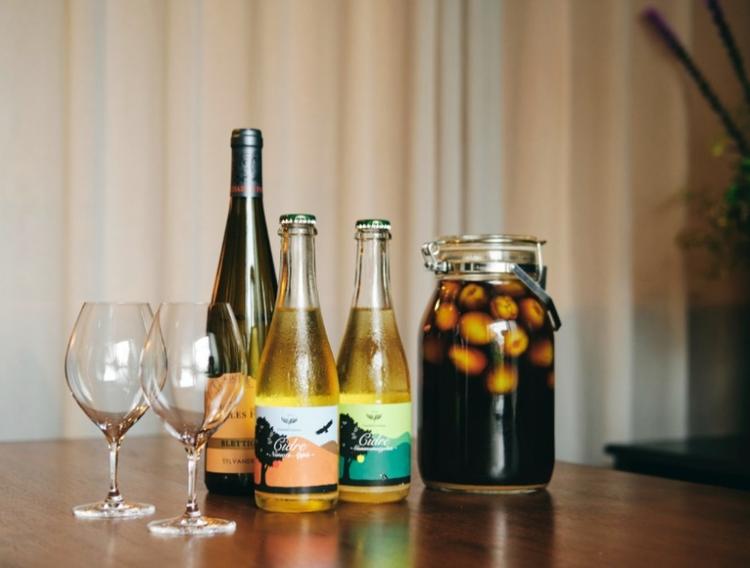 お酒を楽しむもヨシ、