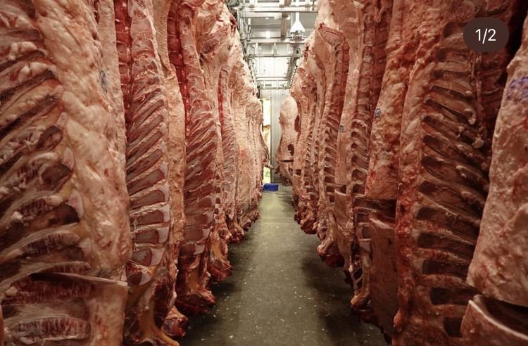 肉のプロフェッショナルになれる！