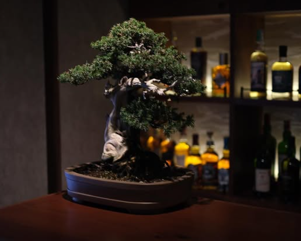 週2日・1日4h～OK！