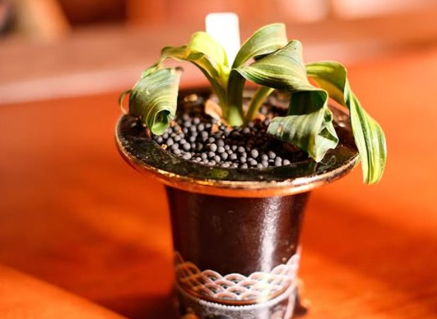 社員登用制度あり◎