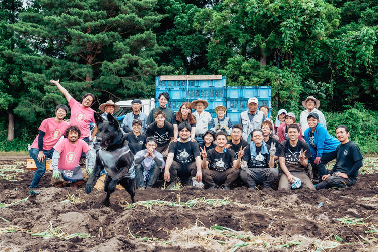 毎年青森に、ニンニクの収穫へ行きます♪