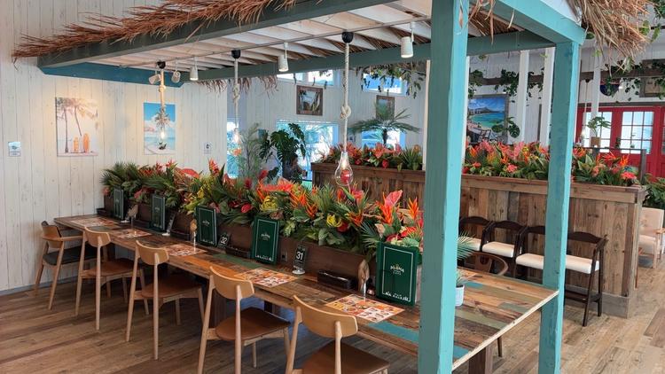 ご応募をお待ちしています！