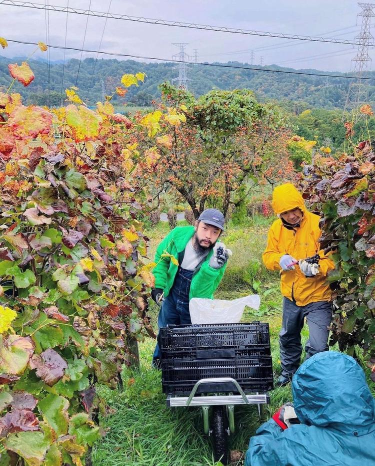 定期的な生産者訪問も行っています！