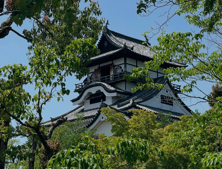 「食」の魅力を引力に、地域活性化を◎