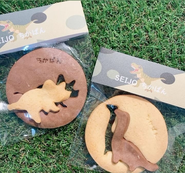 体力に自信がある方は特に歓迎します！