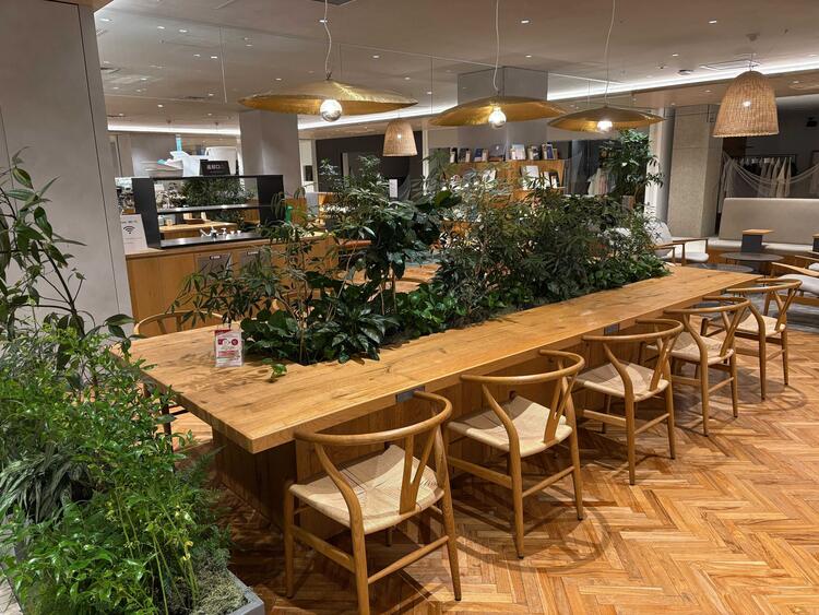 ゆったりとした雰囲気の職場